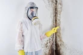 Best Emergency Mold Remediation in Shakopee, MN